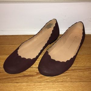 LC Lauren Conrad purple scalloped flats
